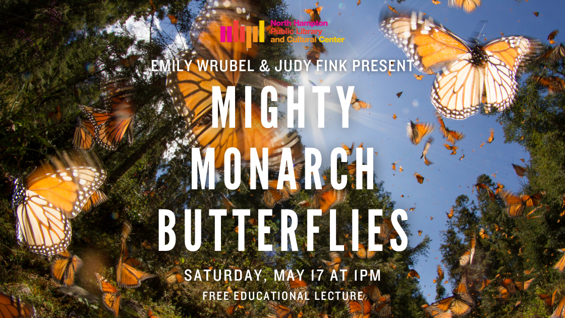 Mighty Monarch Butterflies